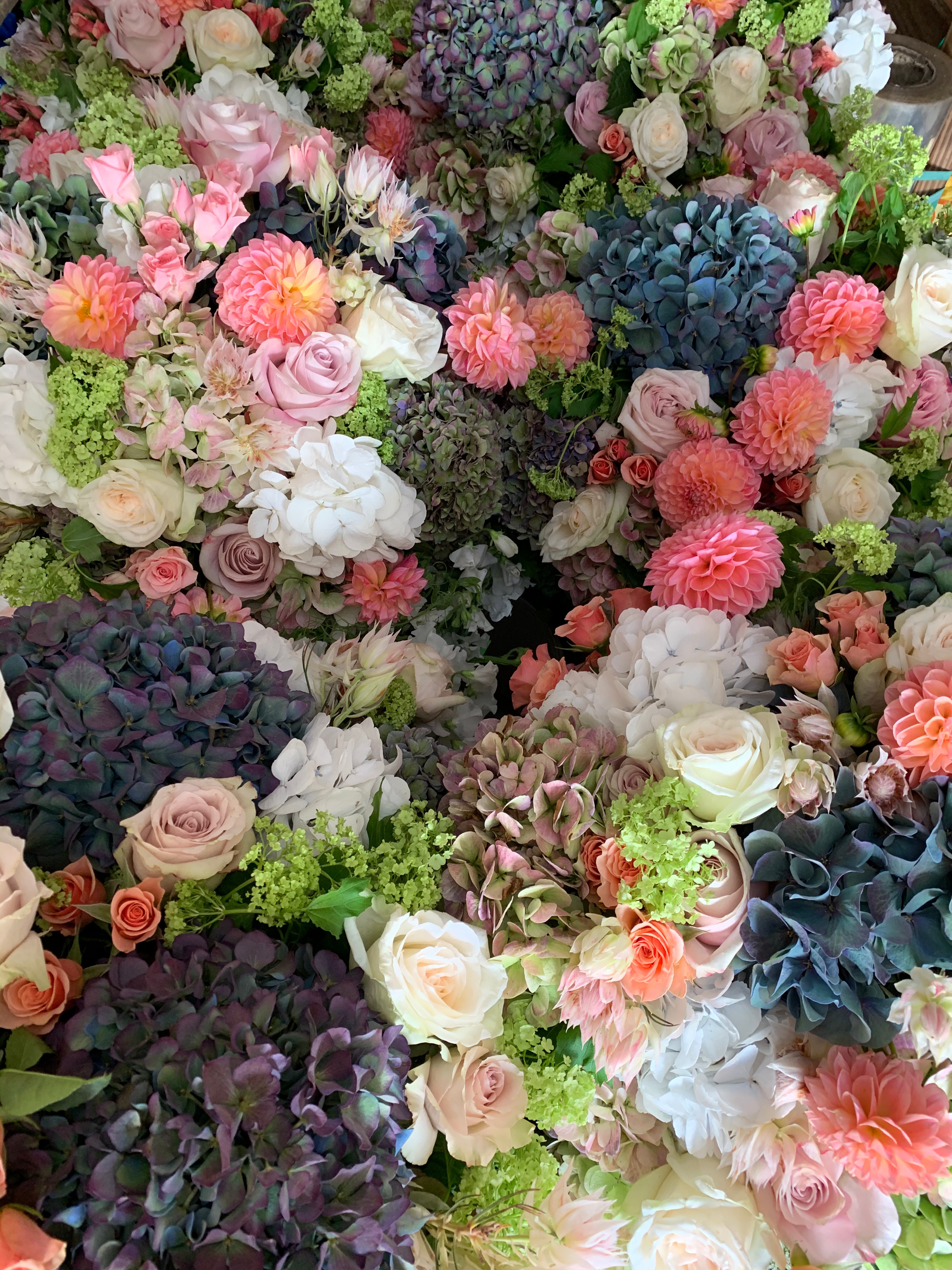 Colorful Flowers